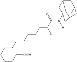 AUDA