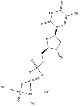 Deoxythymidine triphosphate