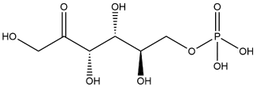 D-Fructose-6-phosphate