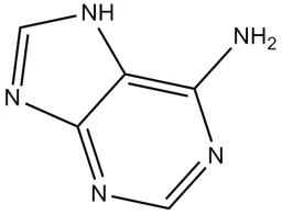 Adenine