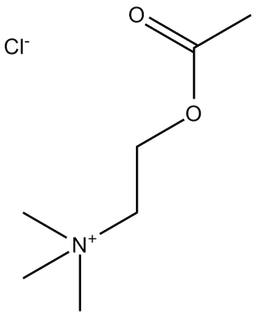 Acetylcholine Chloride