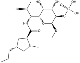Clindamycin Phosphate