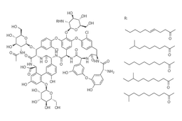 Teicoplanin