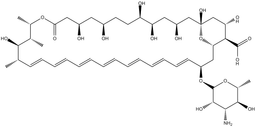 Amphotericin B