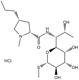 Lincomycin HCl