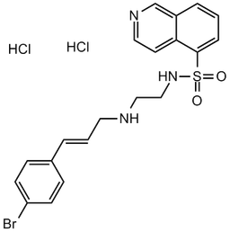 H 89 2HCl