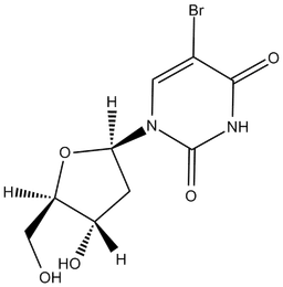 5-BrdU