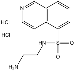 H-9 dihydrochloride