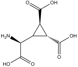 DCG IV