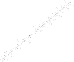 PKC β pseudosubstrate