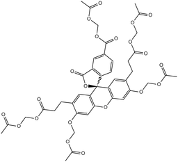 BCECF-AM