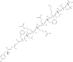 Dynorphin B
