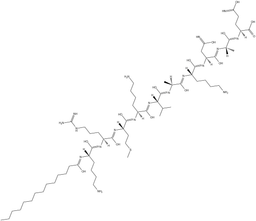 Pep2m, myristoylated
