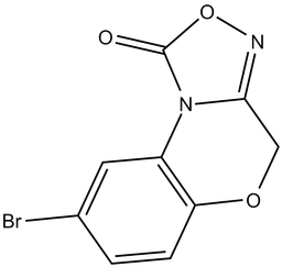 NS 2028