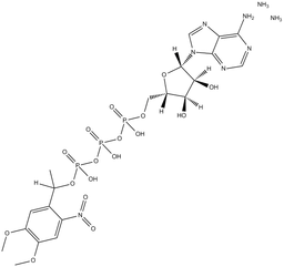 DMNPE-caged ATP diammonium salt