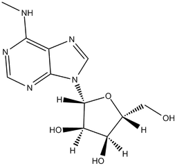 N6-methyladenosine (m6A)