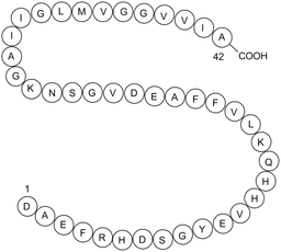 Amyloid β-Peptide (1-42) (human)