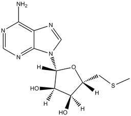 Methylthioadenosine