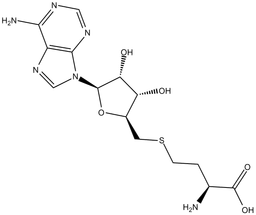 S-Adenosylhomocysteine