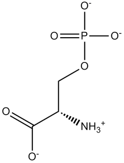 O-Phospho-L-serine