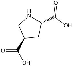 L-trans-2,4-PDC