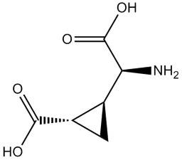 L-CCG-l