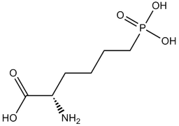 L-AP6
