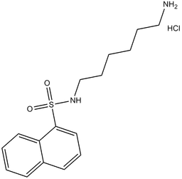 W-5 hydrochloride