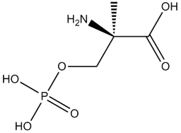 MSOP