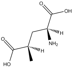 SYM 2081