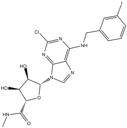2-Cl-IB-MECA