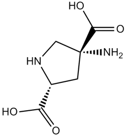 (2R,4R)-APDC