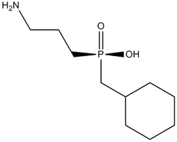 CGP 46381