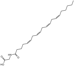 N-Arachidonylglycine