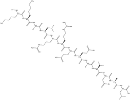 Autocamtide-2-related inhibitory peptide