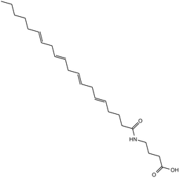 N-ArachidonylGABA