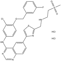 GW 583340 dihydrochloride