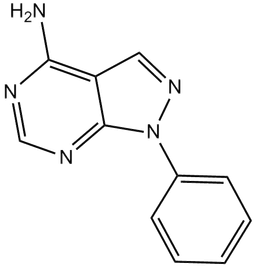 PP 3