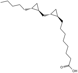 FR 236924