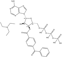 BzATP (ammonium salt)