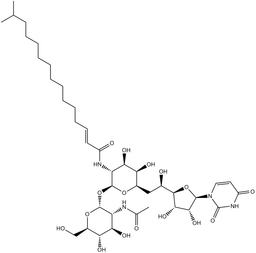 Tunicamycin