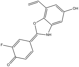 ERB 041