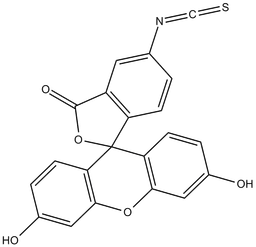 FITC, Fluorescein isothiocyanate
