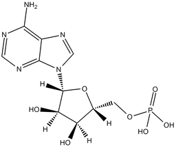 Adenosine 5-monophosphate