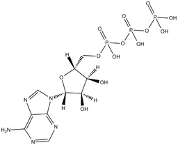 Adenosine 5-triphosphate