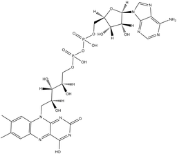 Flavin adenine dinucleotide