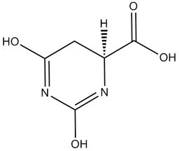 L-Dihydroorotic acid