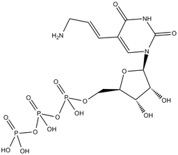 Aminoallyl-UTP