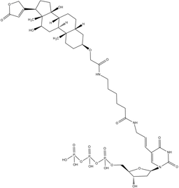 Digoxigenin-11-dUTP