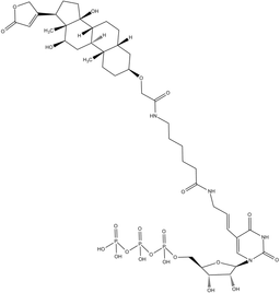 Digoxigenin-11-UTP